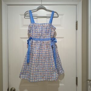 Newlin Cherry Fizz Cottagecore Lined Dress Size Large